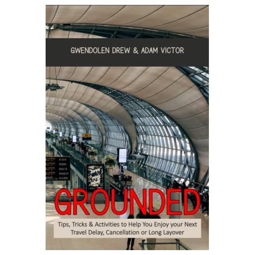 Grounded Travel Guide for Delays