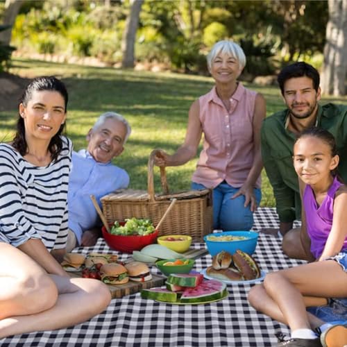 Image of Beach Blanket Outdoor Picnic Blankets Mat 80 inchx60 inch Extra Large Waterproof Sand Proof Camping Blanket Lightweight Folding Portable Travel Blanket for Family Park Beach Grass(Blue)