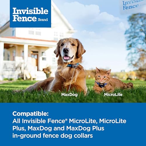 Invisible Fence Power Cap Battery - Original IFB Electric Fence Battery Replacement for Dog Collars - Long-Lasting - 1 Pack by Invisible Fence - Image 3