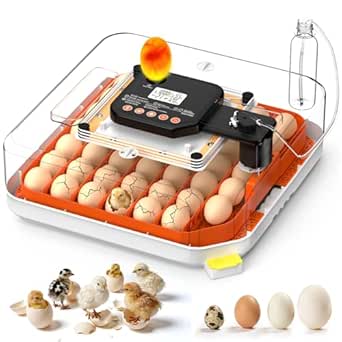 48 Egg Incubator with Auto Turn, Digital Temp & Humidity Control, Built-in Egg Candler