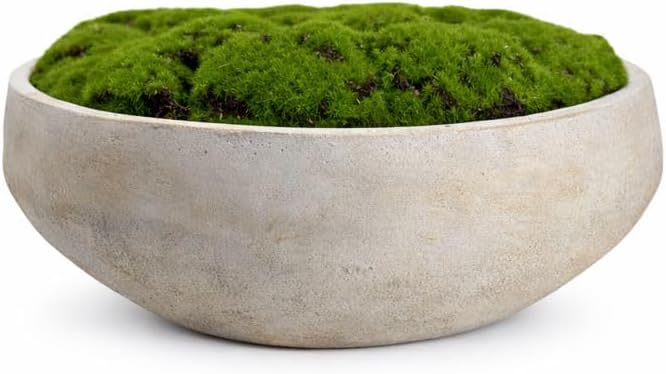 Hand Painted Cement Moss Bowl | 12 Inch | Artificial Moss Centerpiece | Decorative Coffee Table Bowl