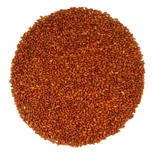 Marwar Halim Seeds 1Kg | Garden Cress Seeds (Aliv, Asaliya) | Iron Rich ...