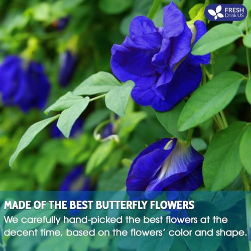 Image of FreshDrinkUS Premium 16oz Butterfly Pea Flower Powder, 100% Natural and Pure, No Additives, No Gluten, No Sugar, Vegan