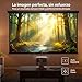 Imagen de Philips Neopix 444 Proyector 4K Resolución nativa 1080p 500 lúmenes Sonido estéreo ANSI
