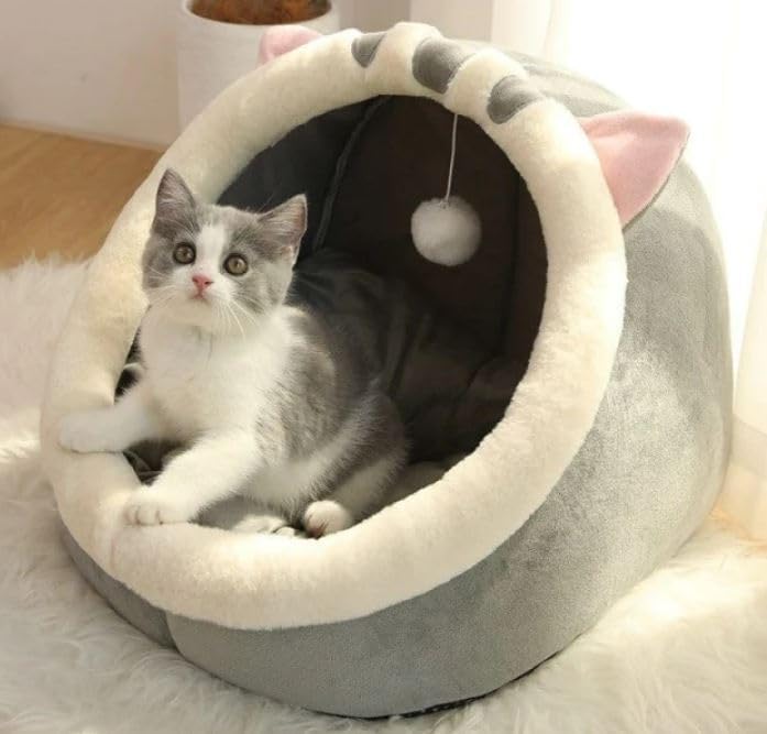 Dratal Washable Cat Beds & Furniture Hiding Cat Bed Cave for 26.4lb Cat Covered Cat Bed for Indoor Cats Soft & Self Warming Cat Tent with Removable Cushioned & Non-Slip Bottom (Large Size) (B0BC3NM89N) Amazon Price History, Amazon Price Tracker