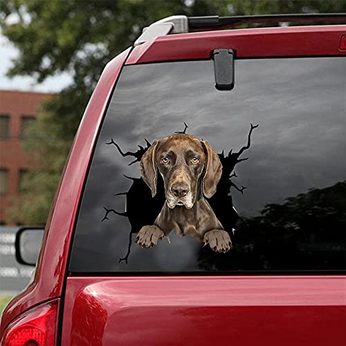 Ocean Gift German Shorthaired Pointer Car Decals, Dog Car Stickers Pack of 2 - Realistic German Shorthaired Pointer Stickers for Car Windows, Walls Series 109 Size 8