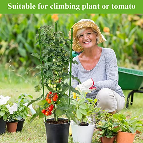 Legigo 6 Pack 30 Inch Plant Support Cages Tomato Cage for Garden- Plant Cages Adjustable Rings, Tomato Plant Support Stakes Trellis for Pots, Peppers, Cucumbers and Flowers with 10 Plant Clips by Legigo - Used condition - Image 5