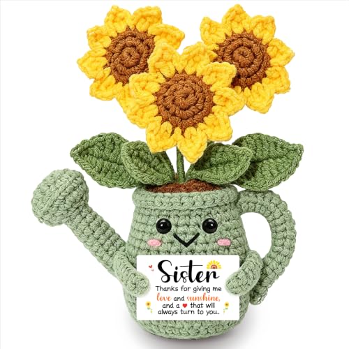 Tiny Sister Birthday Gifts Sister Gift from Brother Sisters Sunflower Gifts