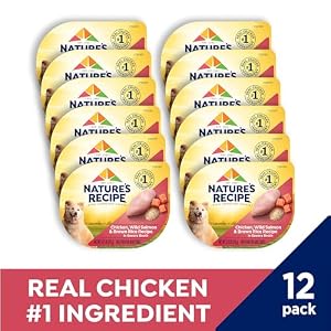 Nature's Recipe Wet Dog Food, Chicken & Wild Salmon in Broth Recipe, 2.75 Ounce Cup (Pack of 12) Nature’s Recipe Wet Dog Food, Chicken & Wild Salmon in Broth Recipe, 2.75 Ounce Cup (Pack of 12)