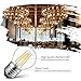 LVWIT G14 LED Filament Globe Bulb 4.5W(60W Equivalent), Dimmable 2700K Warm White Light E26 Screw Base, Decorative Edison Light Bulb, UL-Listed(6-Pack)