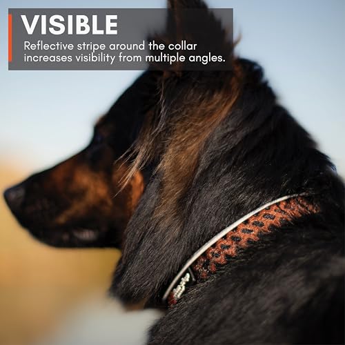 Non-stop dogwear Rock Collar Adjustable |3446| Verstellbares Funktionshalsband, Größe:M