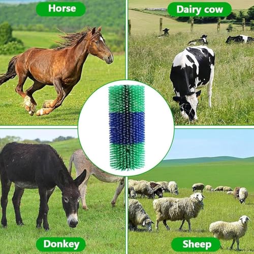 Brosse de massage pour vache et mule double vis anti-grattage - 5