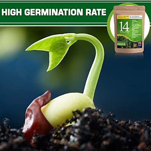 14 Culinary And Medicinal Herbs Seeds Variety Pack - 100% Usa Grown, Non-Gmo - Herb Garden Heirloom Seeds For Planting Indoor, Outdoor And Hydroponic, Including Chives, Italian Basil, Parsley & More #TOP4