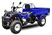 Produktbild AUFGEBAUT STRAßENZULASSUNG EEC Jinling Dumper 150cc Automatik Kipper Quad ATV (Blau)
