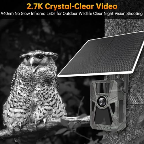 Solar 4G Cellular Trail Camera - image 4