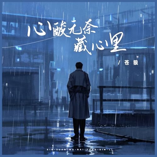 Amazon.co.jp: 心酸无奈藏心里 : 苍狼: Digital Music