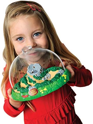 Insect Lore Live Ladybug Growing Kit Toy -Ladybug Land with One Tube