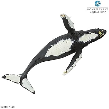 ザトウクジラ 51hqATabaNL.jpg_BO30,255,255,