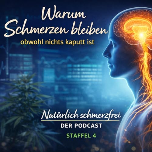 Schmerzged&auml;chtnis verstehen &ndash; Warum dein Nervensystem Schmerzen speichern kann | S04E02