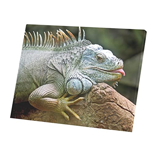 Affiche poster iguane gros plan : créez une ambiance jungle tropicale dans votre salon