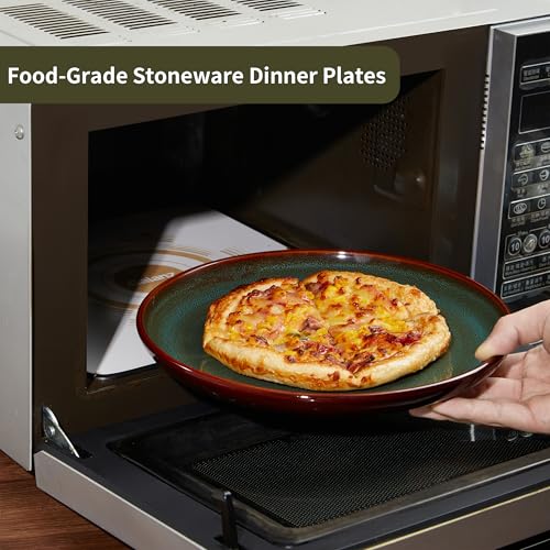 Image of Pokini Ceramic Dinner Plates Set of 6, 10inch Salad, Dessert Plates Dishes | Reactive Glaze Stoneware Dish Set, Dinner Plate for Dessert, Salad, Appetizer, Microwave & Dishwasher Safe, Scratch Resistant