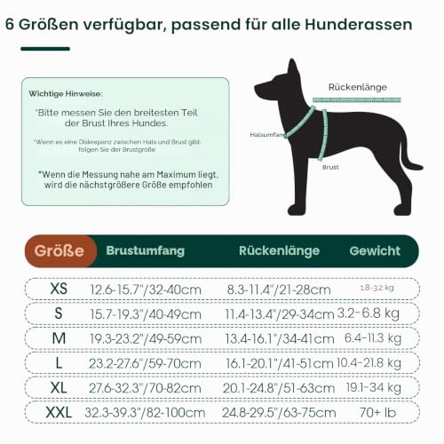 Kuoser Hundebody Nach Op Rüde Hündin Anti-Leck Vollständiger Wundschutz, L