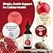 Liposomal Urolithin A Liquid Drops, Urolithin A Supplement with Pomegranate Extract, for Healthy Aging, Antioxidant & Mitochondrial Support, Non-GMO, 2 Fl Oz