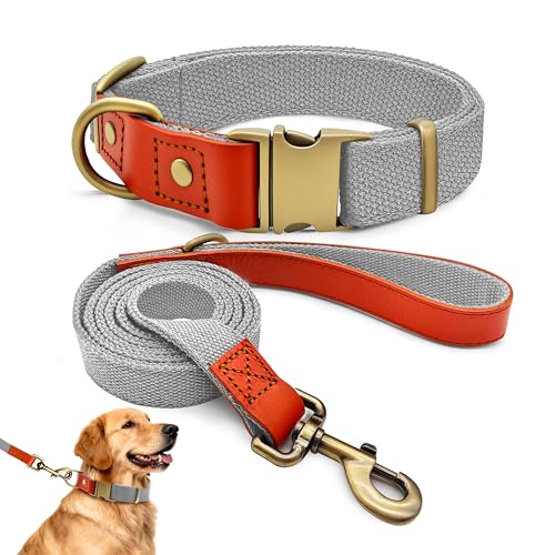 Qianruida Collare e Guinzaglio Cane in Nylon, Set di Addestramento, Regolabile, Resistente, Antifuga, Collari per Cani di Media e Grande Taglia, Grigio Argentato, XL