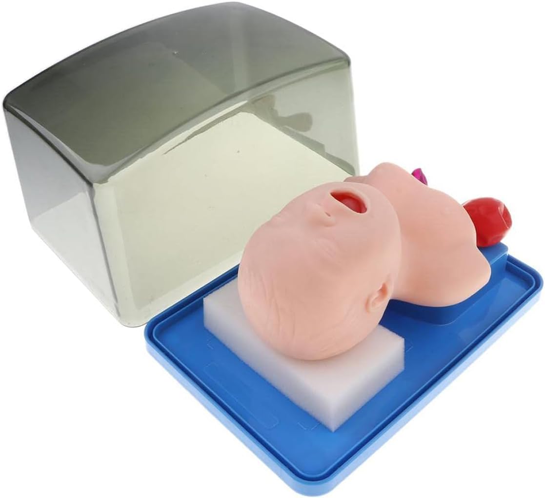 Modello di Formazione per L'intubazione Tracheale Bucconasale Neonatale Anatomica Manichini per Intubazione Manichino Pediatrica Infantile Simulatore Intubazione delle Vie Aeree Infantili