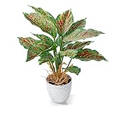 Künstliche Pflanzen, 32.5cm Dieffenbachia Sequina Mini Indoor-Topf Pflanzen Kunstplastik-Grünflanze, für Dekoratives Wohnzimmer Wohnung Balkon Büro