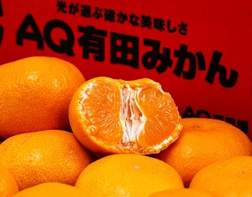 a̎RYFAQLc݂uSpecial sweet Tastev Gi lTCY T