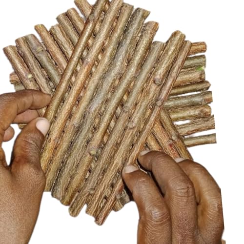 Image of Ayurvedic Natural Organic Neem Datun Toothbrush, Twigs Chew Sticks for Brushing Teeth Removes Bad Breath, Relieve Tooth Ache, Healthy Collected in The Wild. (Pack of 40)