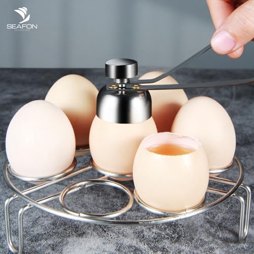 Proteínas, Imagen adicional