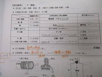 駿台 生物S Part1/2 テキスト通年セット 2017 計4冊 伊藤和修 080R0D 駿台 生物S Part1/2 テキスト通年セット 2017 計4冊 伊藤和修