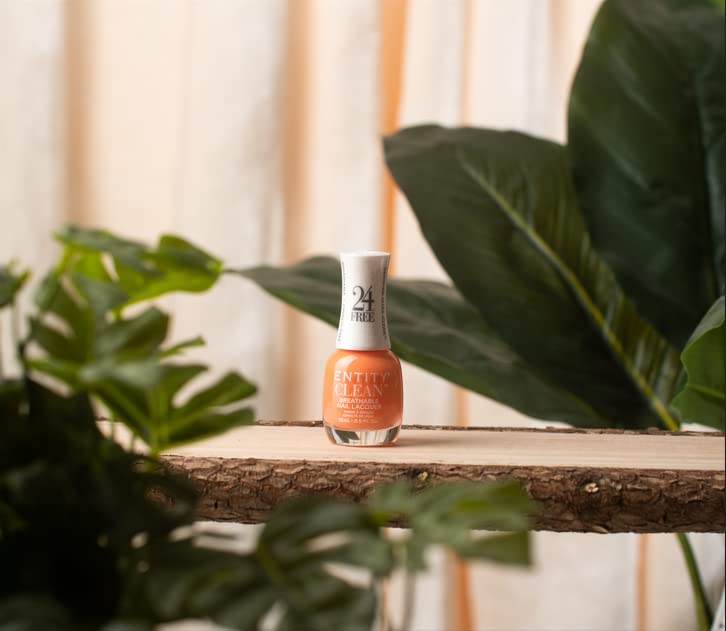 Miniatura 8 de Entity Juego de esmalte de uñas limpio, paquete de 4 esmaltes de uñas combinado con capa superior y base, juego de esmalte de uñas vegano y libre de