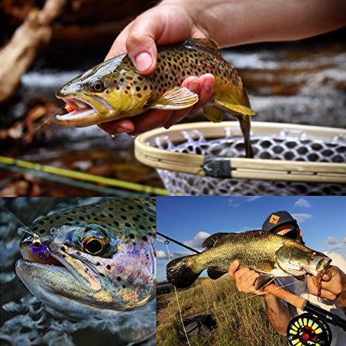 M Maximumcatch UNKNOWN Maxcatch Fly Fishing Tapered Leader Line 6 Pack -Pre-Tied Loop- Tensile Strength- Abrasion Resistance- Low Memory 7.5Ft/9Ft/12Ft/15Ft thumb #6