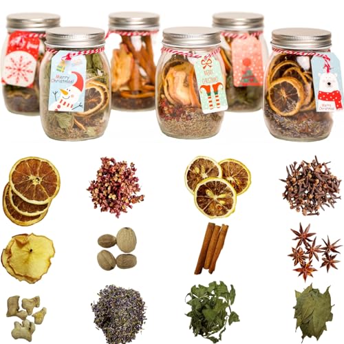 6 Pack Christmas Simmer Pot Potpourri Kit with Mason Jars
