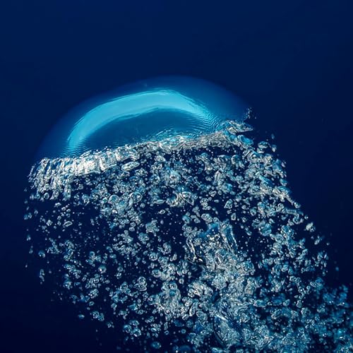 Cachalotes: Escuchando al Oce&aacute;no (Sperm Whales: Listening to the Ocean)