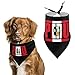 Flag of Peru Triangle Pet Bandana Dog Scarf Kerchief for Large Medium Small Dogs Puppies Cat Pets