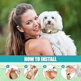 Boloshine AirTag Hundehalsband, Verstellbares Reflektierend Halsband Hund, Integriertes Apple Air Tag Hundehalsband Weich Gepolstertes für Große Mittelgroße Kleine Hunde (Rot, S)
