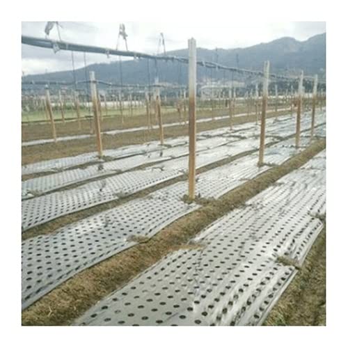 EVANEM 0.95×10m 5Holes 0.02mm Black Mulch Film with Holes Mulch Films