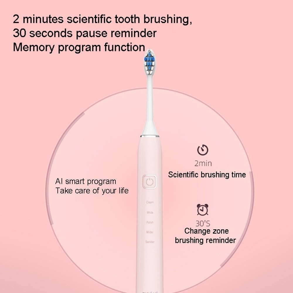 Spazzolino elettrico IPX7 Modalità di spazzolatura impermeabile 5 2 minuti timer intelligente USB Spargi for spazzolino da denti ricaricabile Design sottile for il viaggio di lavoro for le vacanz