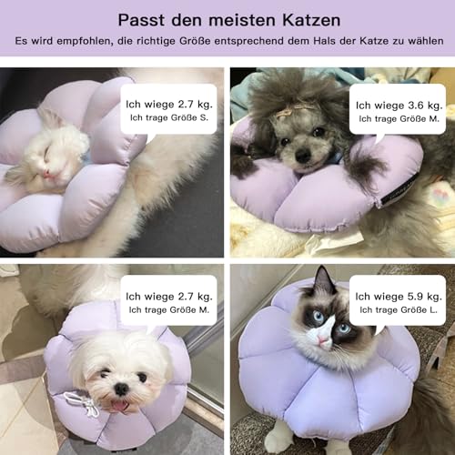 THKOFPET Halskrause Katze, Einstellbarer Katzenhalskrause, Weiche Blumen Katzenhalskrause Kragen Cone, für Katzen und kleine Hunde nach Operationen und Verletzungen (violett, M)