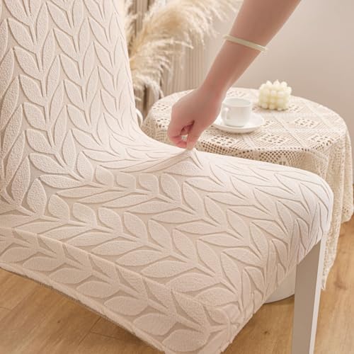 Image of HOMETHREADS Stretchable Elastic Jacquard Chair Seat Cover - Removable & Washable, Durable Seat Protector for Dining Room, Kitchen, Restaurant & Party Chairs (Cream, Pack of 1)