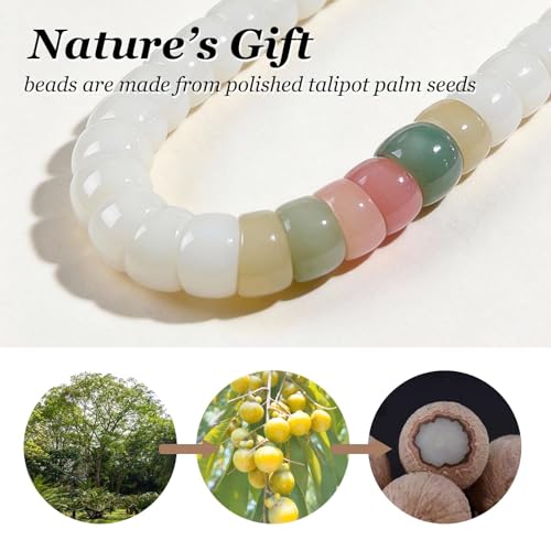 Image of Natural Bodhi Seed Bracelets Anxiety Fidget Bracelets Anxiety Relief Items Protection Healing Stretch Bodhi Fidget Bracelet for Women Men