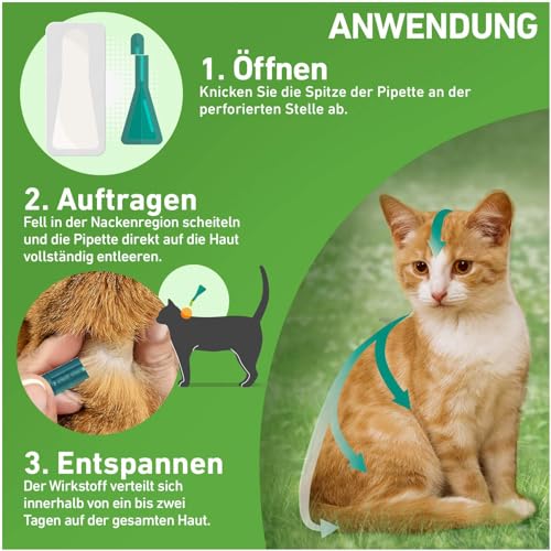 Frontline Combo Spot on Katze 6 Pipette + gratis Fellhandschuh