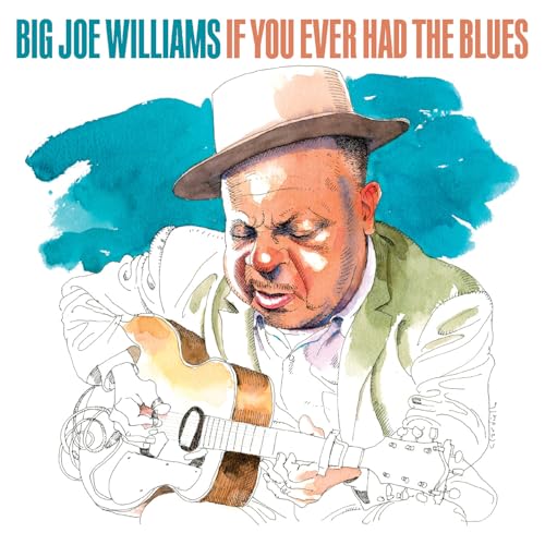If You Ever Had The Blues