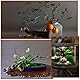 GUOYOU 4 Stück Treibholz Hardscape Aquarium Deko Basteln Aquarium Zubehör Terrarium Zubehör Holzstäbe Ornaments Holz Vasen Schalenfüller Deko für Reptilienbecken Holzdekor