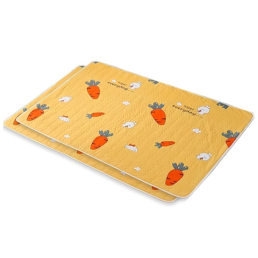 Tapis réutilisable et Lavable Absorption 100x150cm
