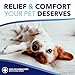TropiClean Oxymed Soothing Allover Cat & Dog Wipes For Paws And Butt | Anti Itch Relief For Dogs & Cats 50 Count